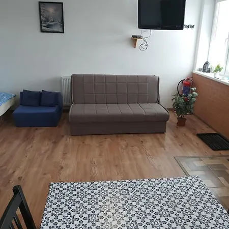 Bekivi